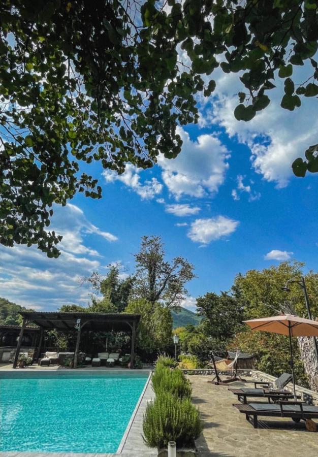 Bourazani Wild Life Resort Konitsa Zewnętrze zdjęcie
