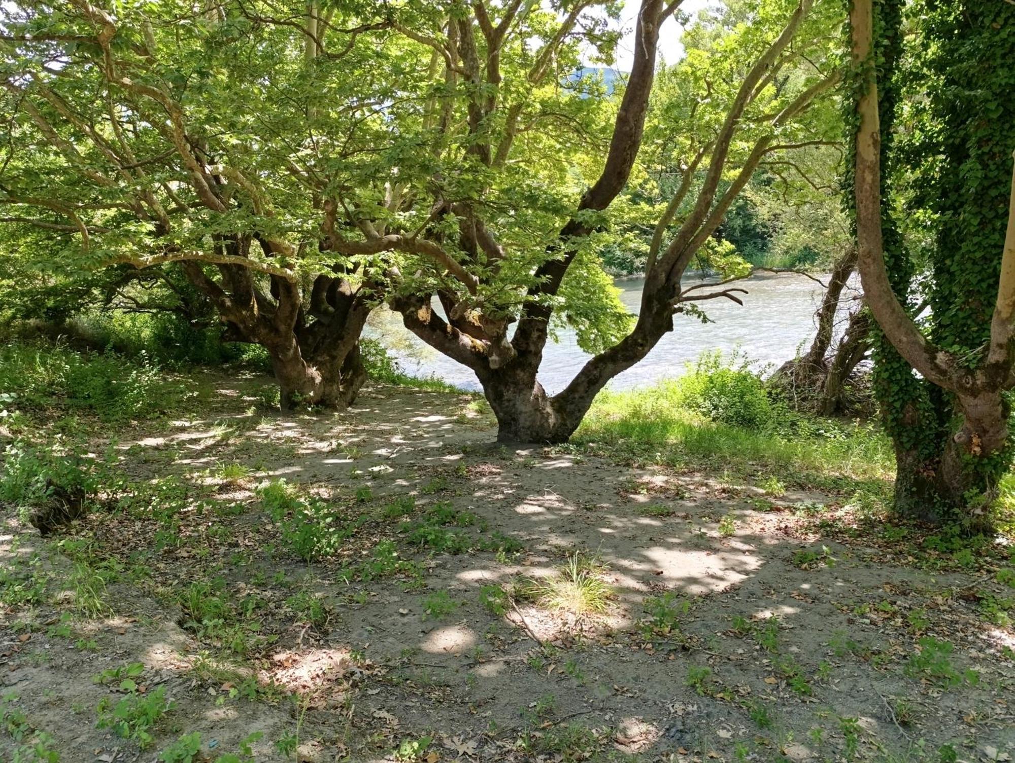 Bourazani Wild Life Resort Konitsa Zewnętrze zdjęcie